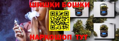 гашик Гатчина