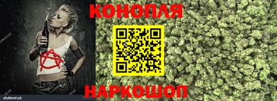 гашик Гатчина