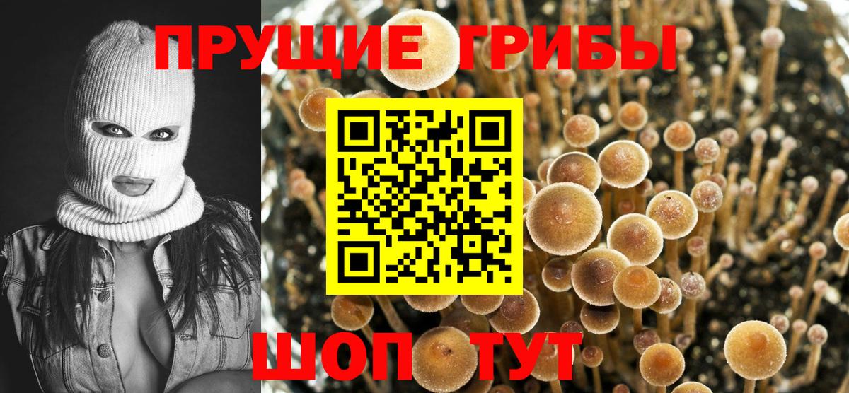 Галлюциногенные грибы MAGIC MUSHROOMS Михайловка