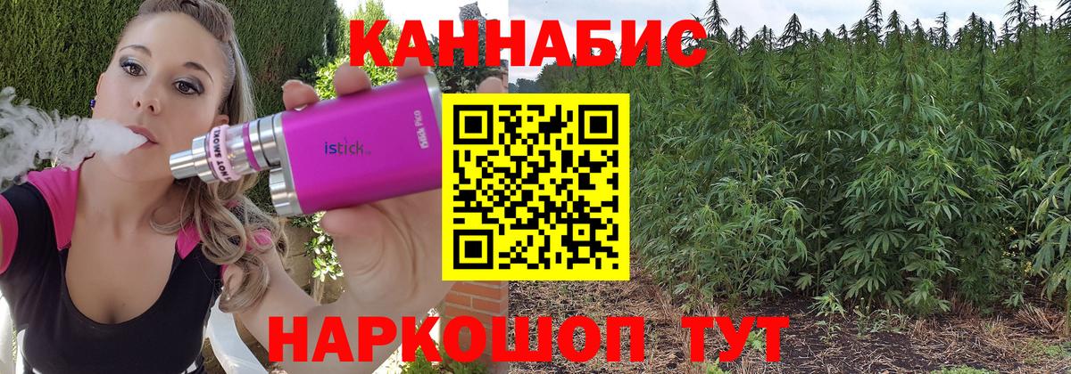 Шишки марихуана планчик  Вход с VPN  Бошки Шишки марихуана  Михайловка  МАРИХУАНА гибрид 